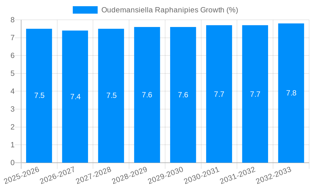 Oudemansiella Raphanipies Growth