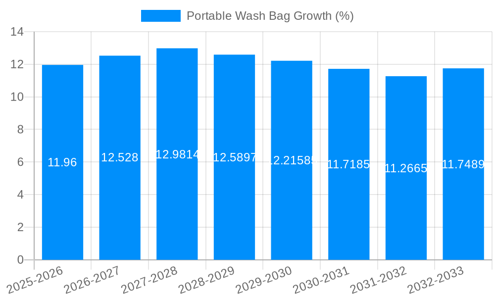 Portable Wash Bag Growth