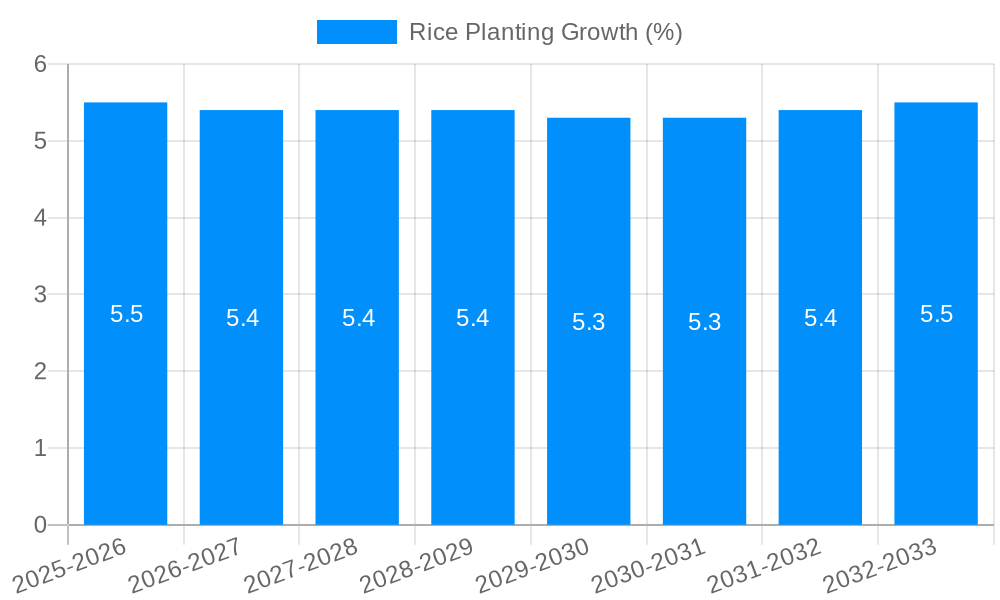 Rice Planting Growth