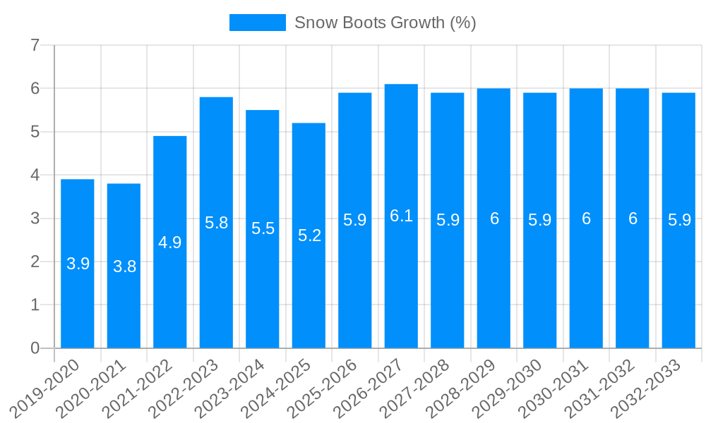 Snow Boots Growth