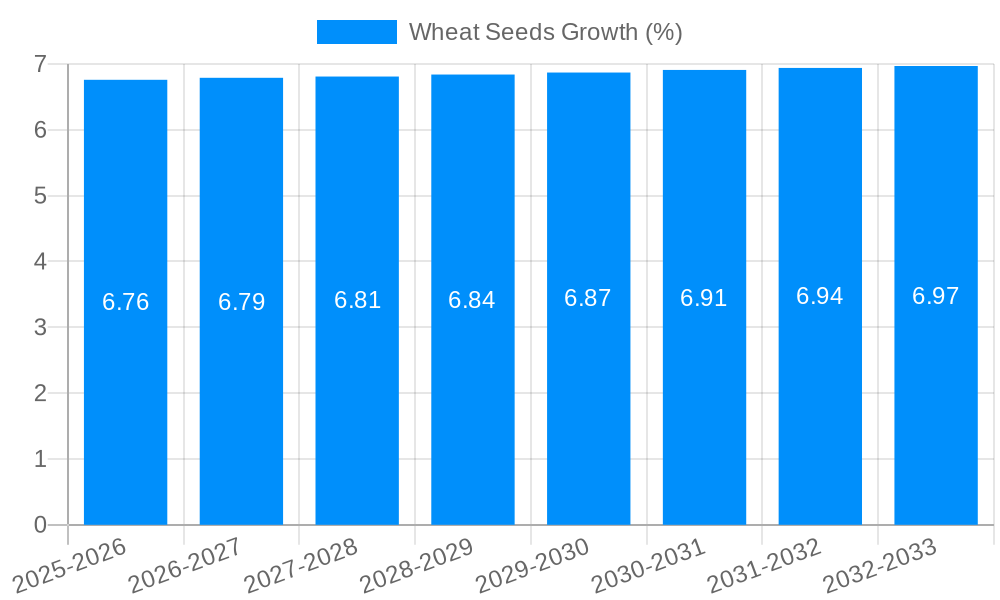 Wheat Seeds Growth
