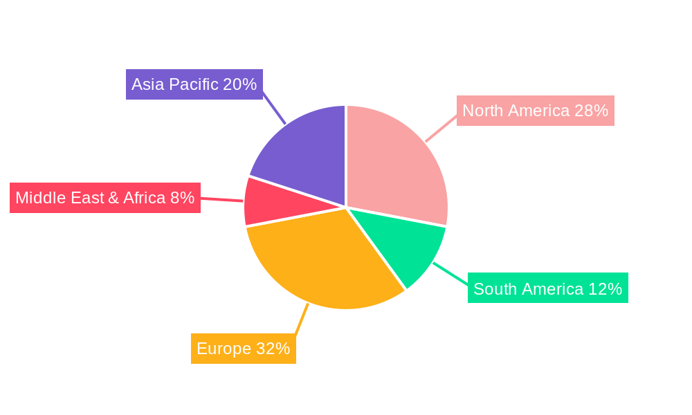 Anti-Static Solid Tyre Regional Share