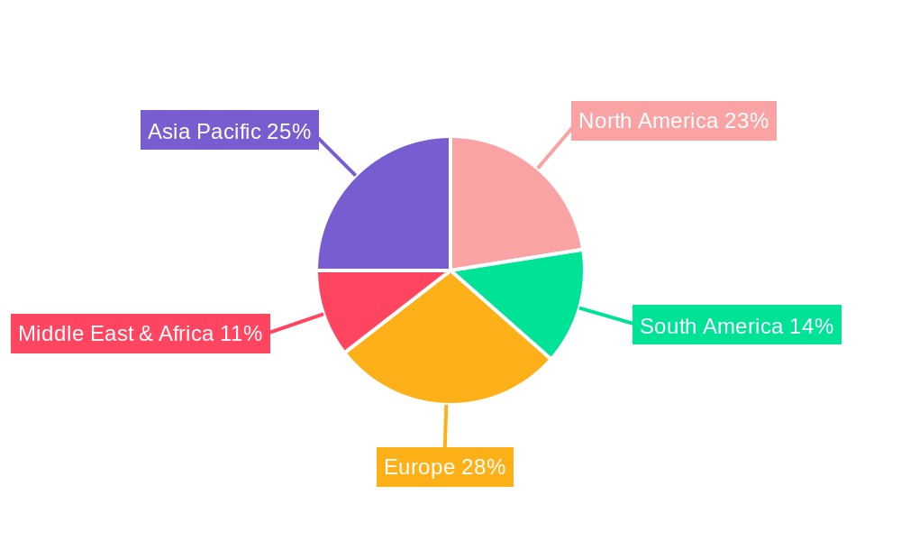 Feed Grade Vitamin C Derivatives Regional Share