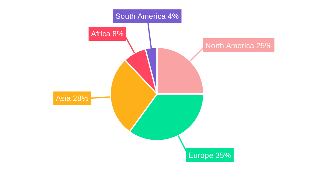 Football & Soccer Balls Regional Share