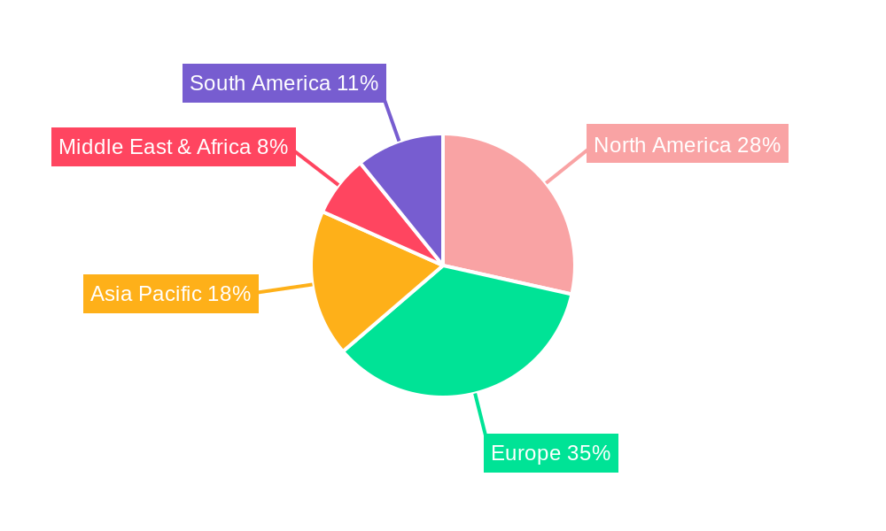 Luxury Catamarans Regional Share