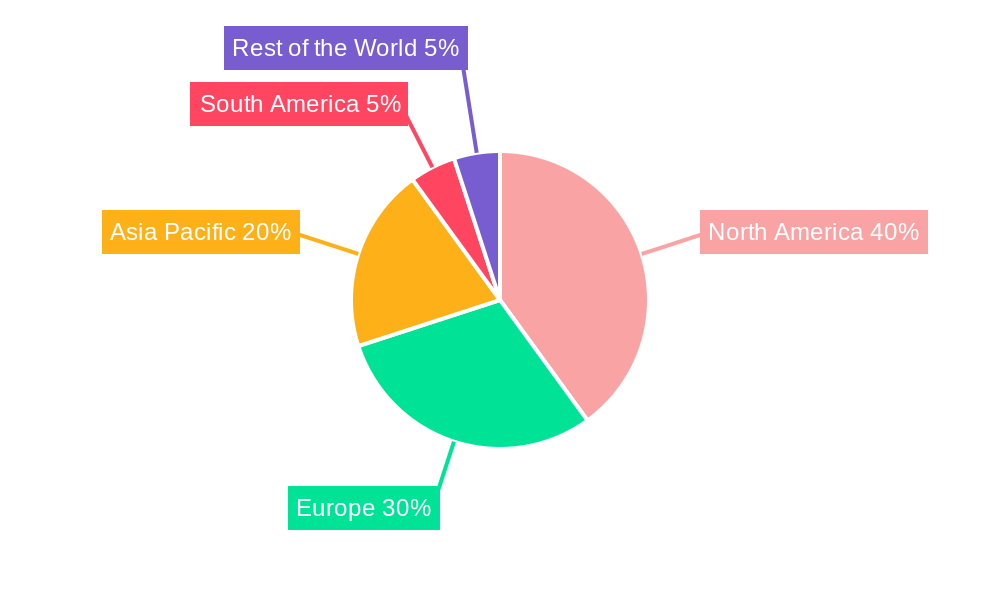 NEV Permanent Magnets Regional Share