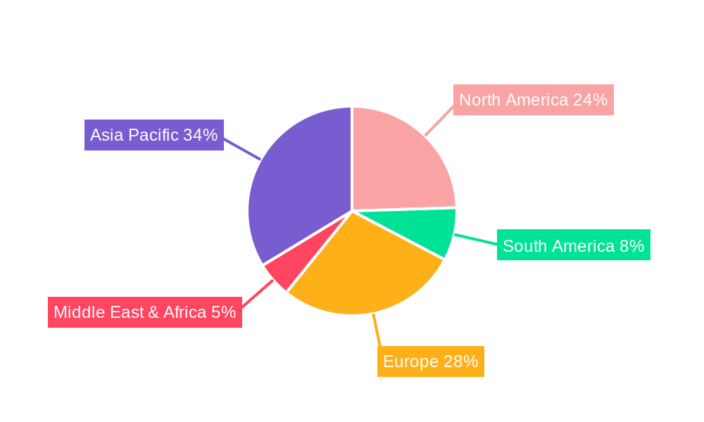 Nylon 6 Regional Share