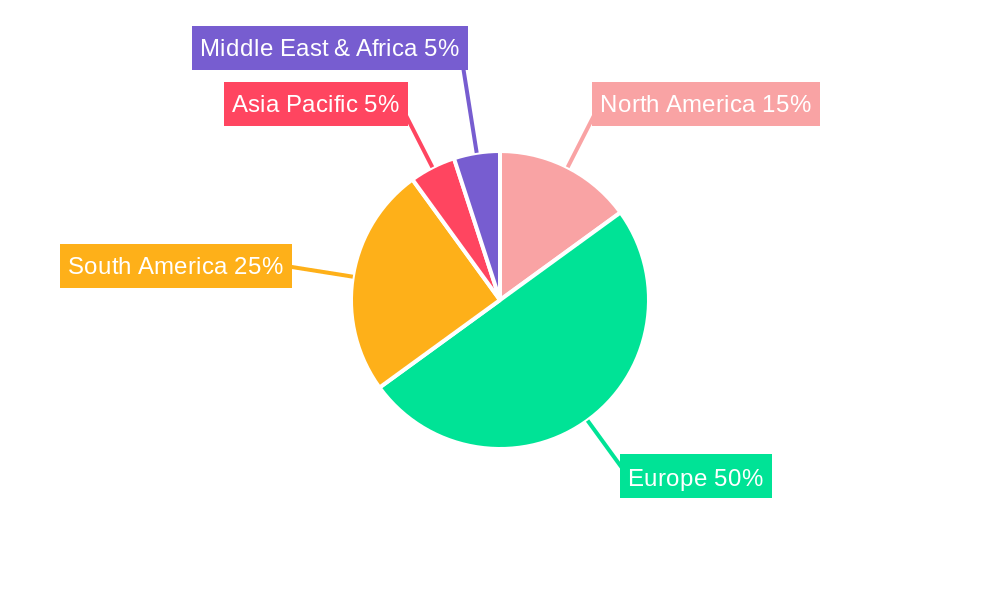 Padel Tennis Equipment Regional Share