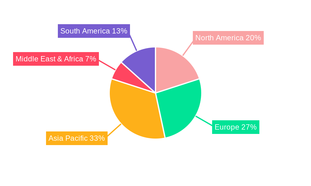 Rewinding Machines Regional Share