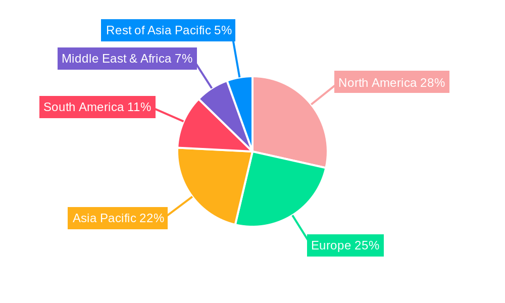 Stainless Steel Root Canal Files Regional Share