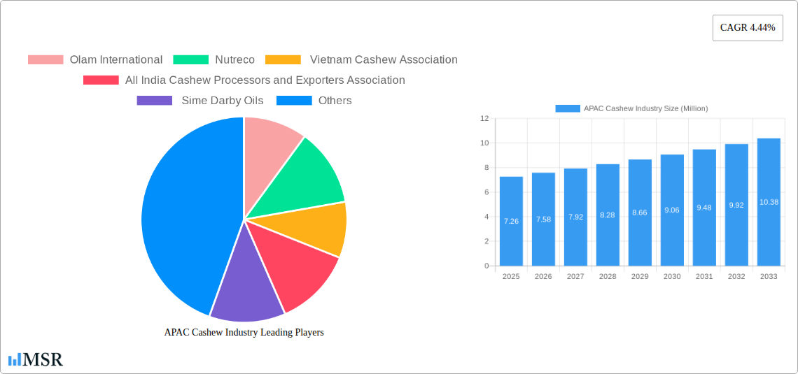 APAC Cashew Industry Research Report - Market Size, Growth & Forecast