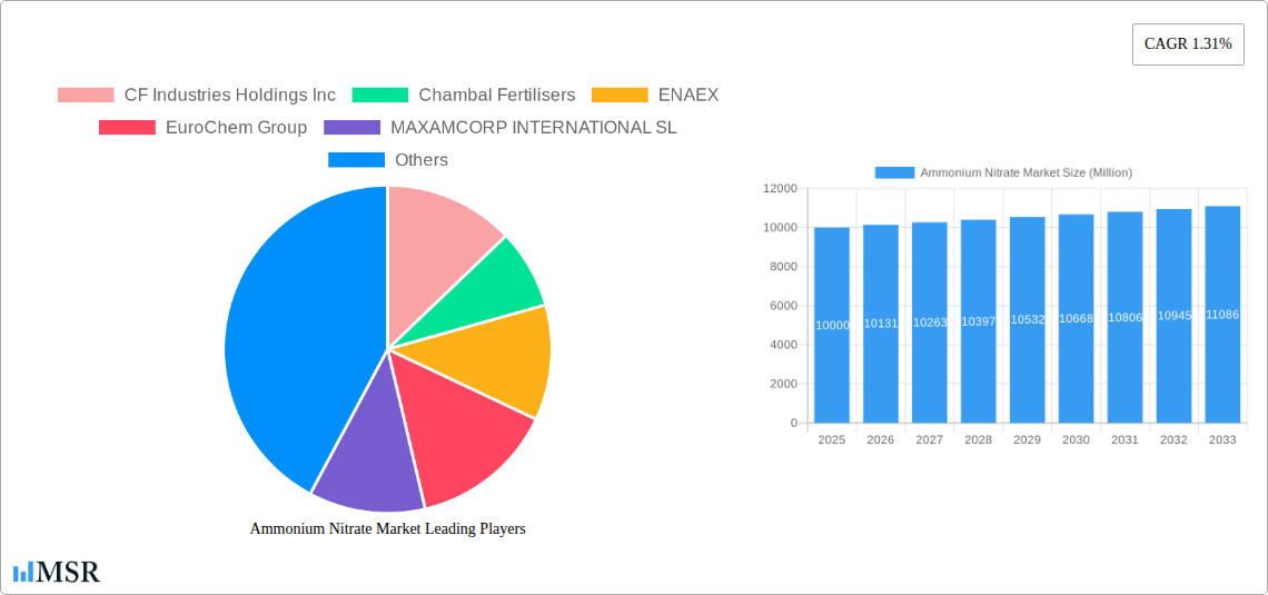 Ammonium Nitrate Market Research Report - Market Size, Growth & Forecast