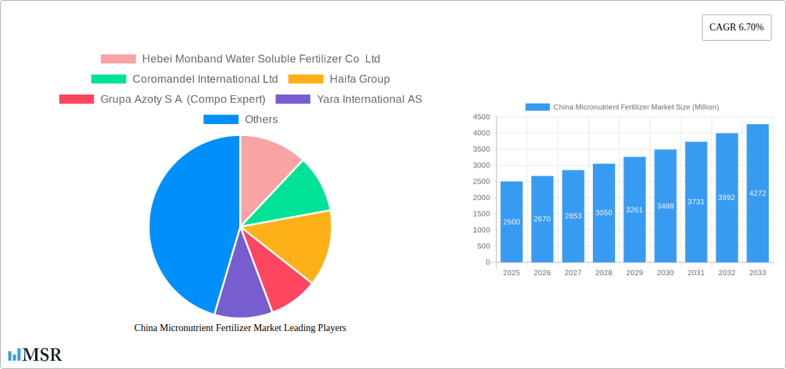 China Micronutrient Fertilizer Market Research Report - Market Size, Growth & Forecast