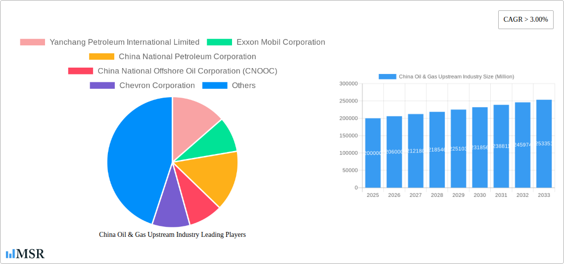 China Oil & Gas Upstream Industry Research Report - Market Size, Growth & Forecast