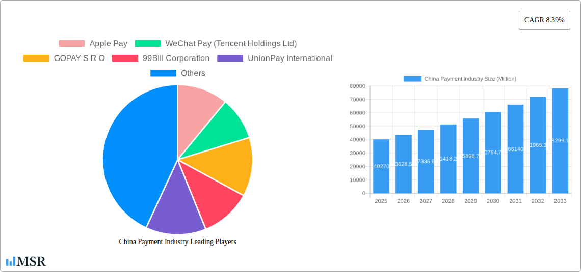 China Payment Industry Research Report - Market Size, Growth & Forecast