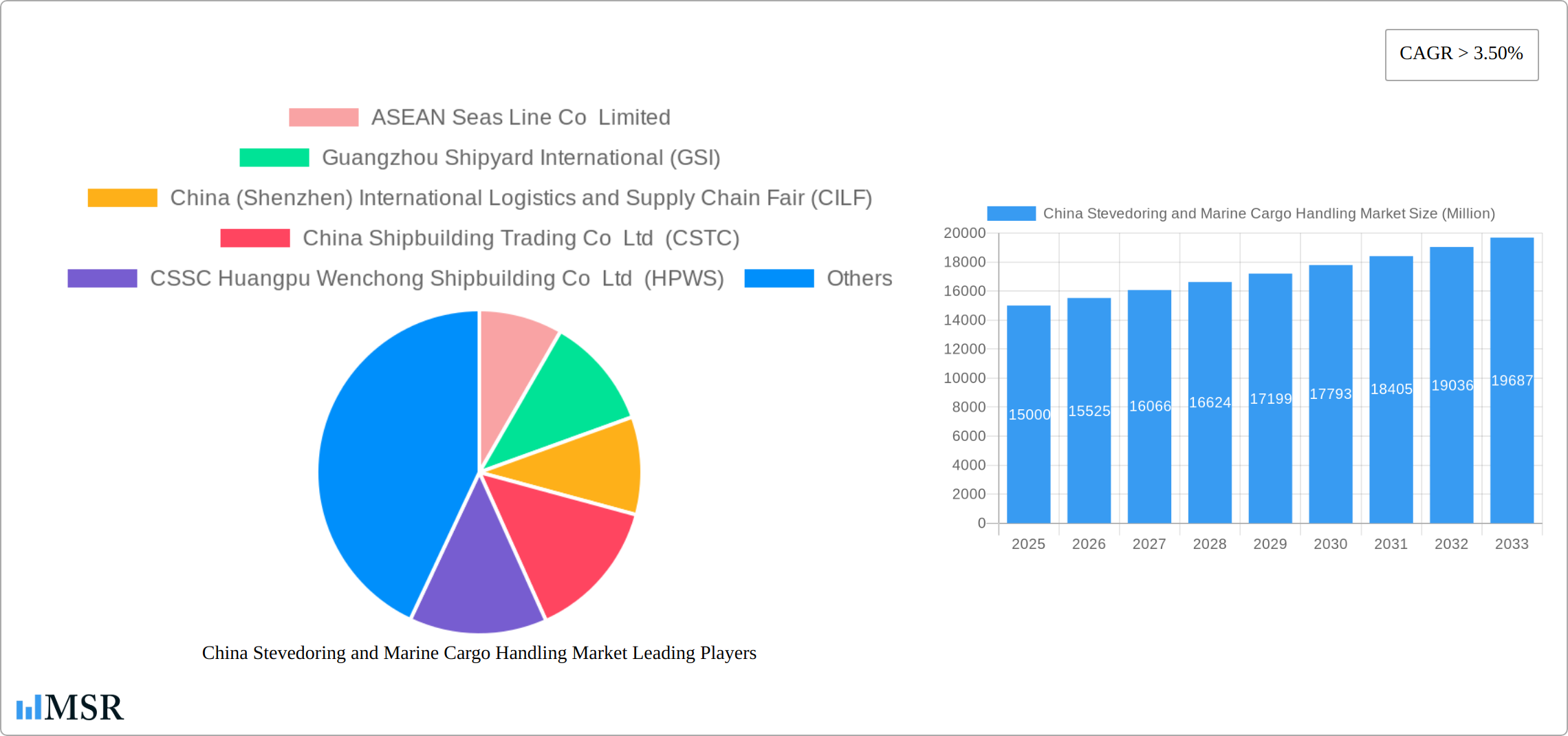 China Stevedoring and Marine Cargo Handling Market Research Report - Market Size, Growth & Forecast