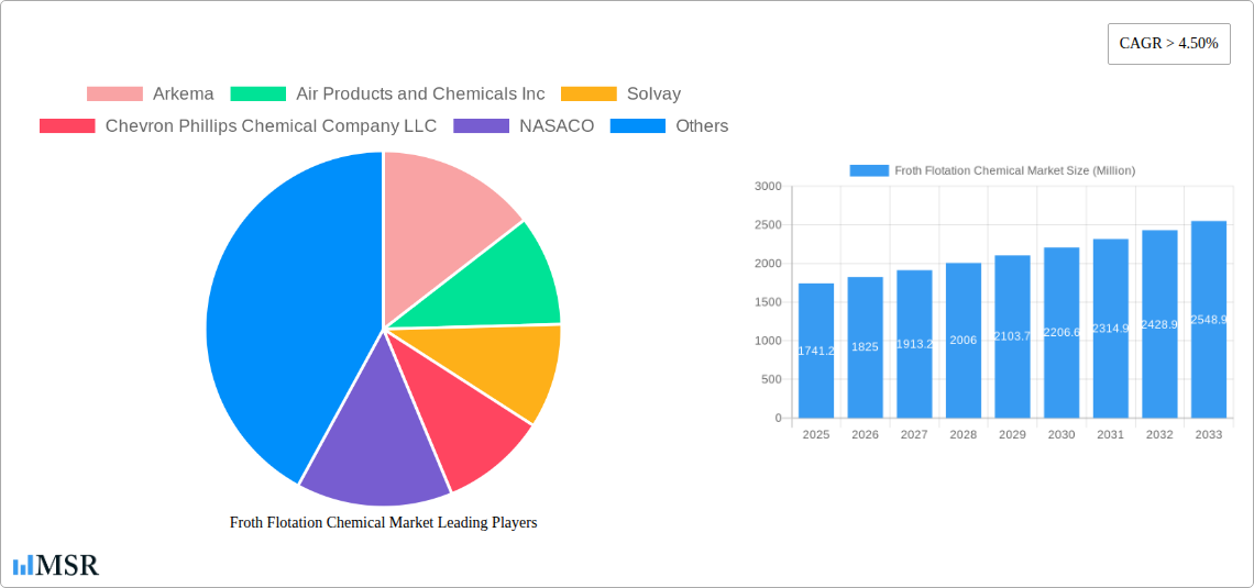 Froth Flotation Chemical Market Research Report - Market Size, Growth & Forecast