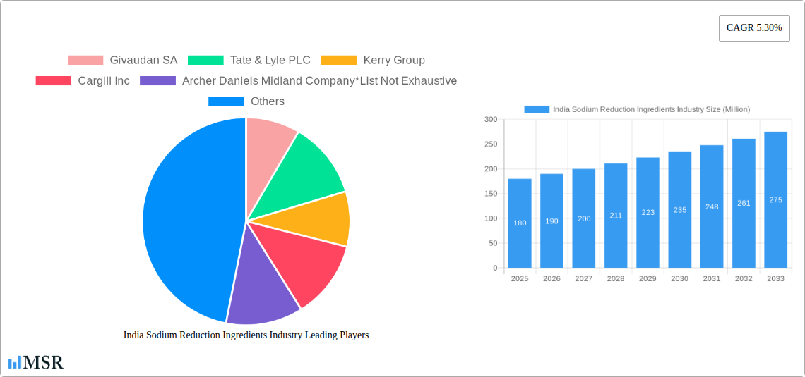 India Sodium Reduction Ingredients Industry Research Report - Market Size, Growth & Forecast