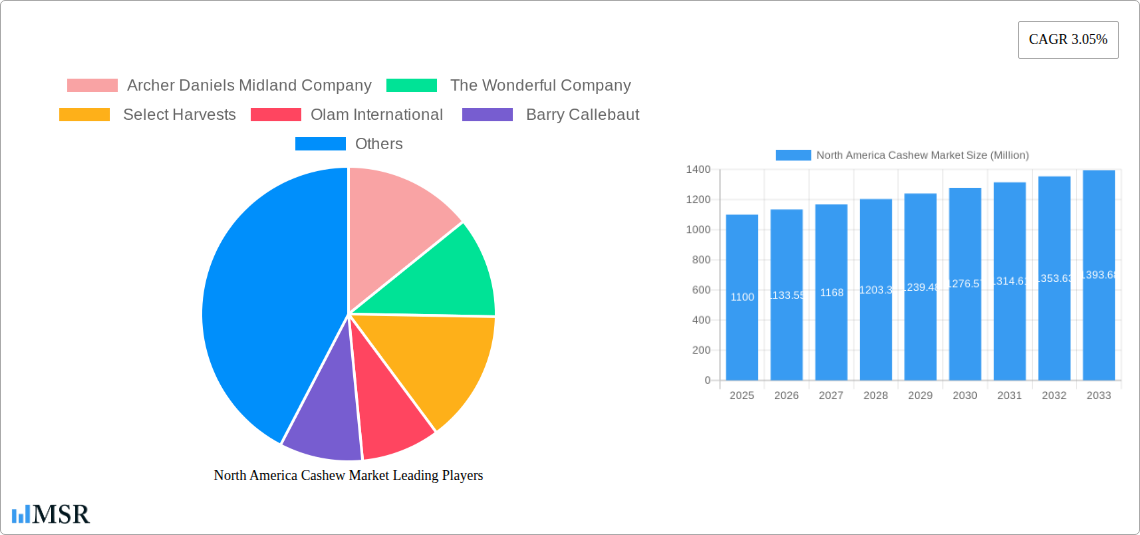 North America Cashew Market Research Report - Market Size, Growth & Forecast