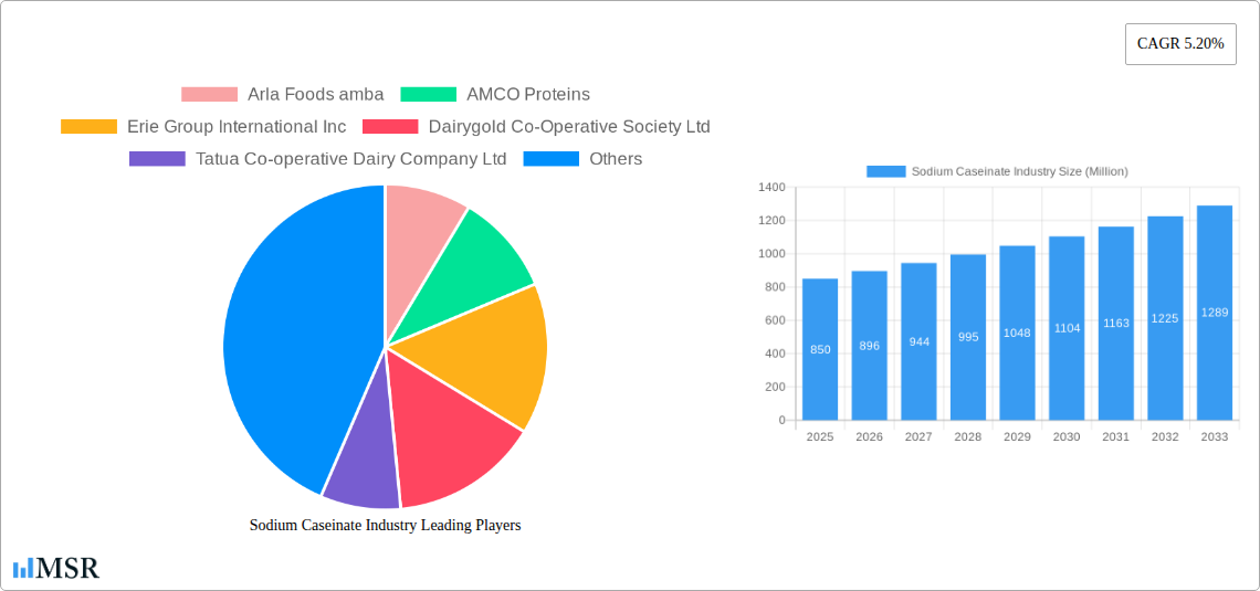 Sodium Caseinate Industry Research Report - Market Size, Growth & Forecast
