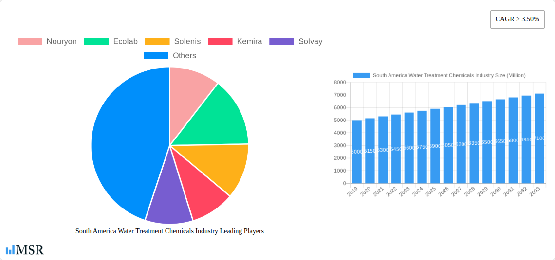 South America Water Treatment Chemicals Industry Research Report - Market Size, Growth & Forecast