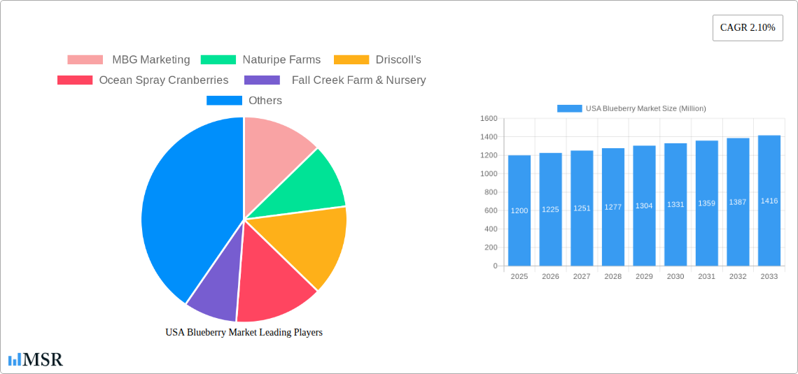 USA Blueberry Market Research Report - Market Size, Growth & Forecast