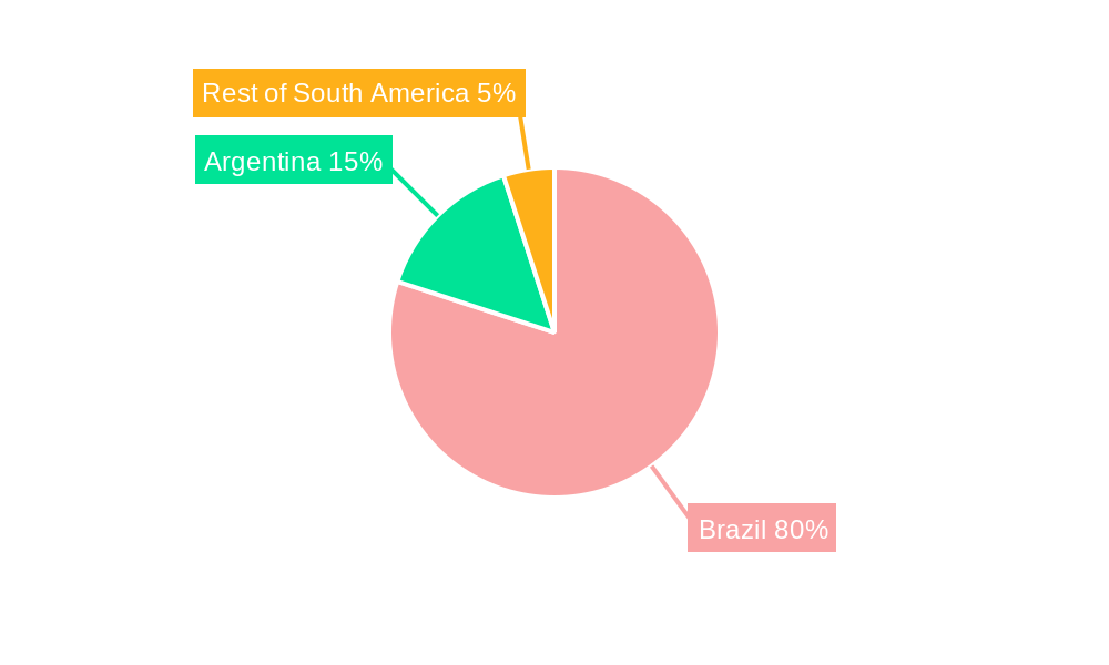 Brazil Starch Derivatives Market Regional Share