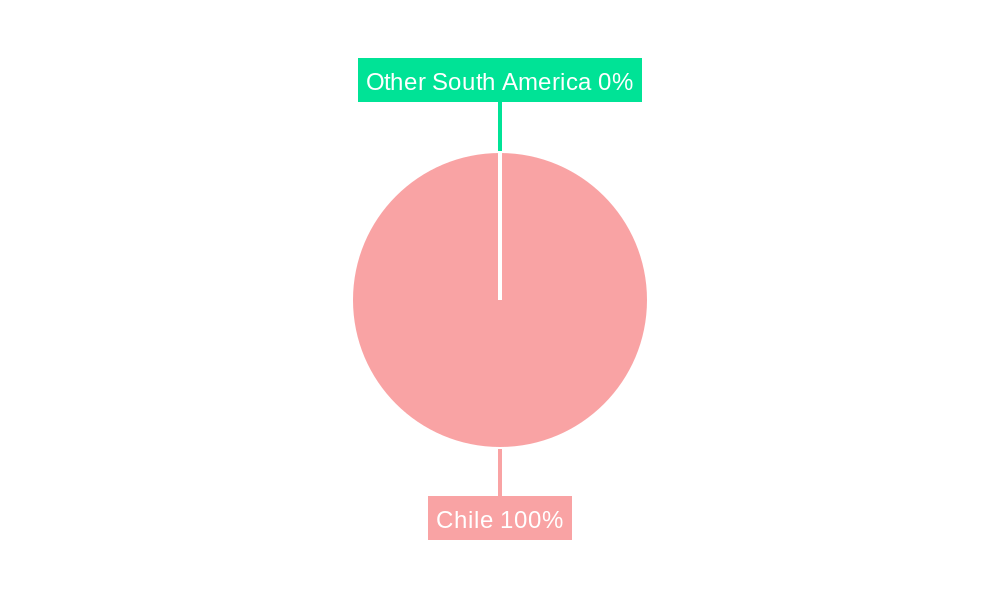 Chile Data Center Server Market Regional Share