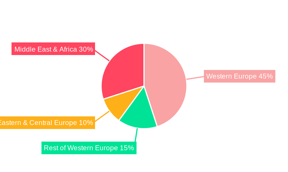 Europe, Middle East and Africa (EMEA) Flexible Packaging Market Regional Share