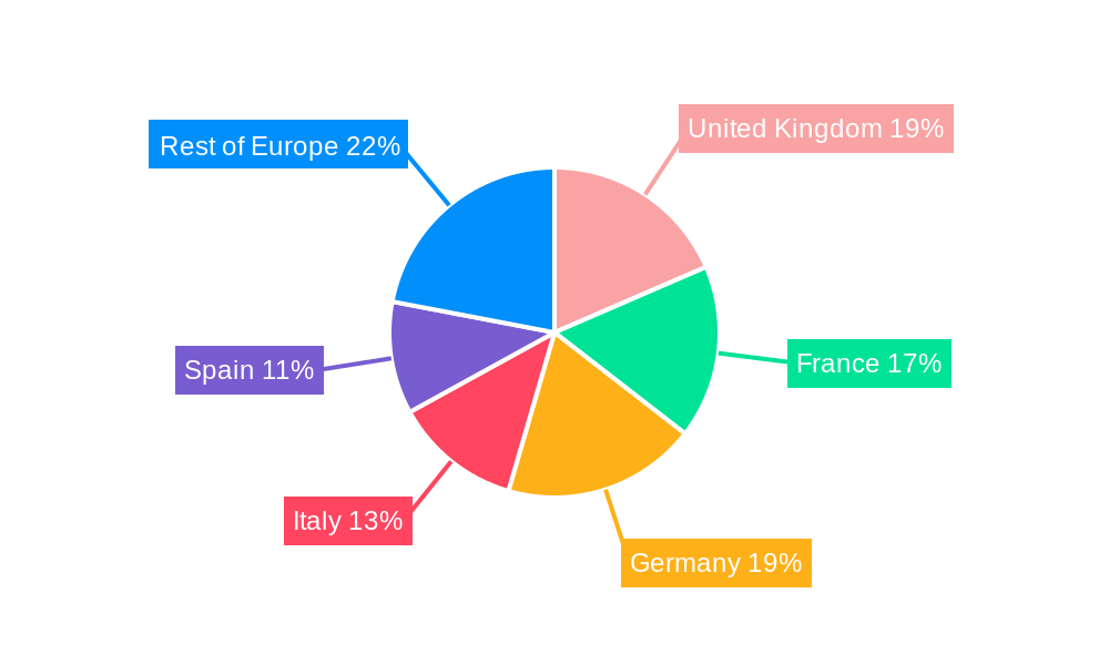 Europe Air Traffic Management Market Regional Share