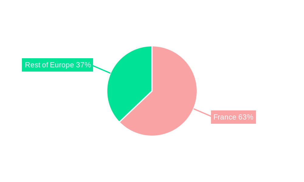 France Video Surveillance Market Regional Share