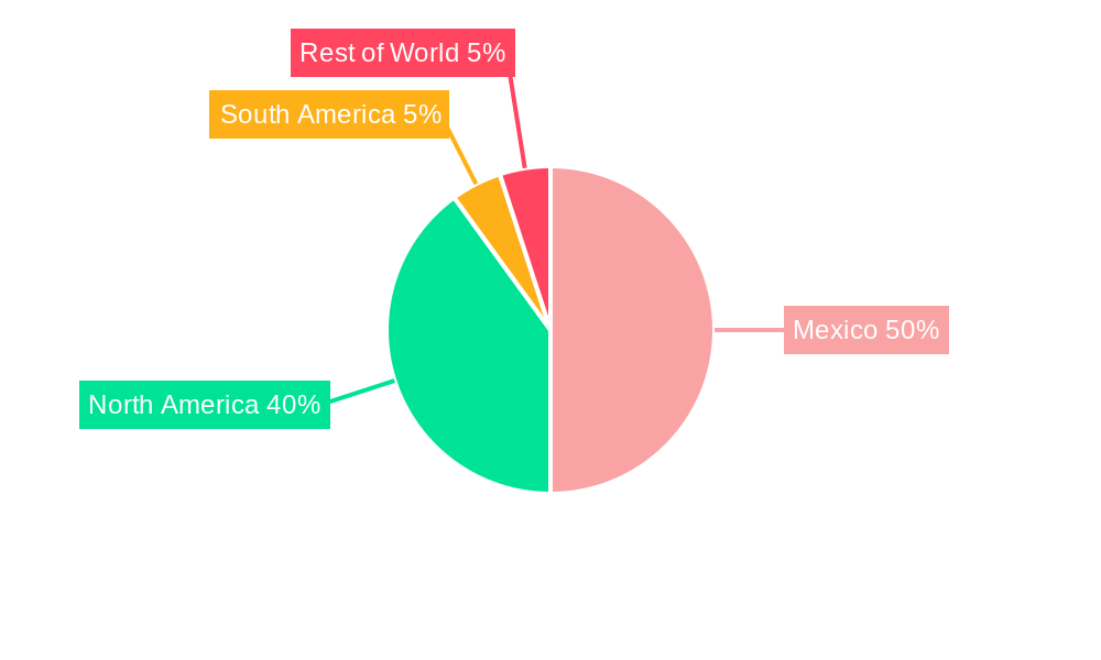 Mexico Automotive Actuators Market Regional Share