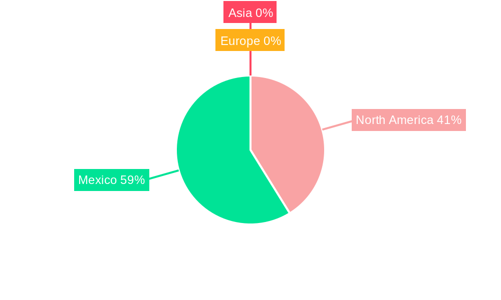 Mexico Automotive OEM Coatings Market Regional Share