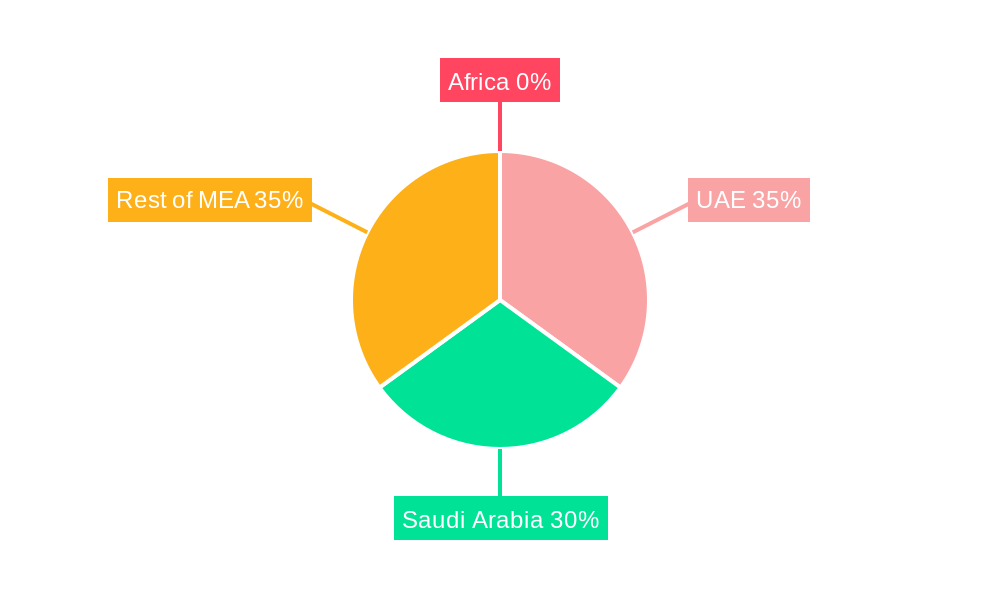 Middle East and Africa Temperature Monitor Market Regional Share