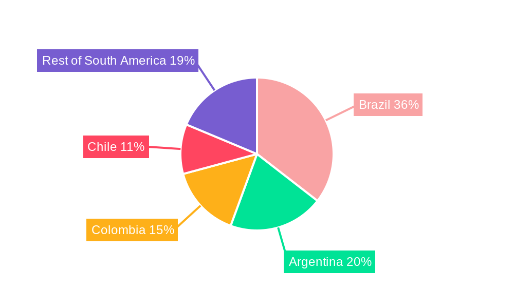 South America Membrane Water Treatment Chemicals Market Market Share by Region - Global Geographic Distribution