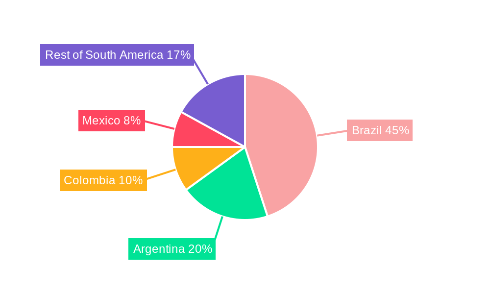 South America Polyamide Market Regional Share