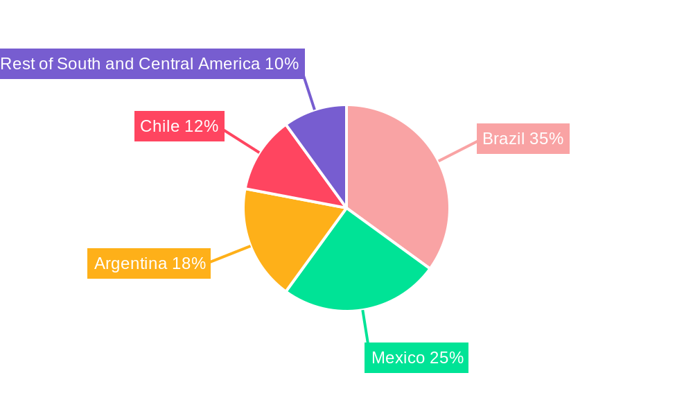 South and Central America Smart Grid Security Market Regional Share