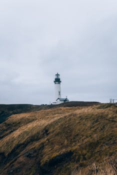 Delta