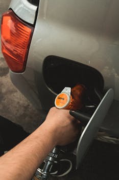 MP