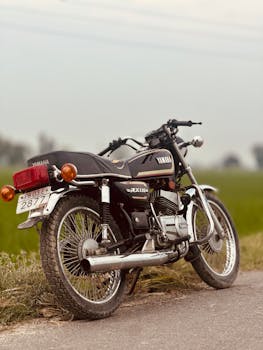 Indian