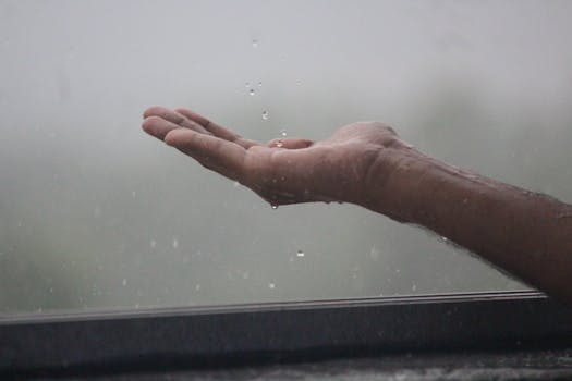 Monsoon