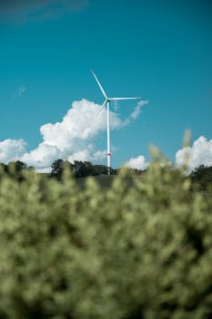 Renewable