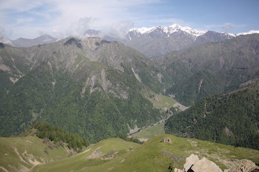 Hill
