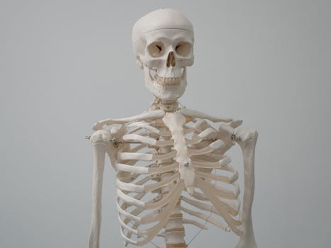 Medical