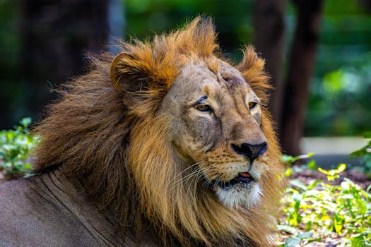 8 Best Family-Friendly National Parks in India