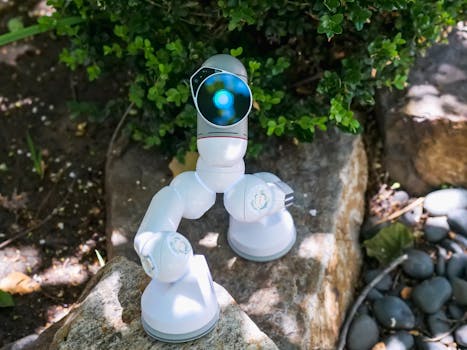 AI 171 Stock Crash: Accounting Scandal Rocks AI Market