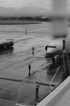 Air India AI-171 Crash: Black Box Data Reveals Chilling Details