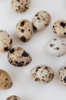 High-Protein Diets & Gout: The Uric Acid Risk You Need to Know