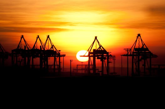 Indian Shipping Stocks Boom Amidst Global Trade Chaos