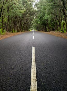 India's Weakening Forest Carbon Sinks: A Climate Change Crisis